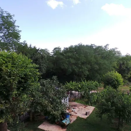 In 27904 Apartamento